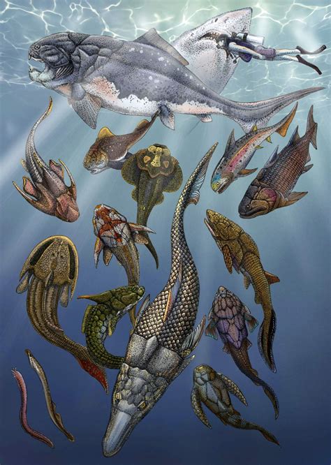 Devonian period, armored fish, jawed vertebrates .